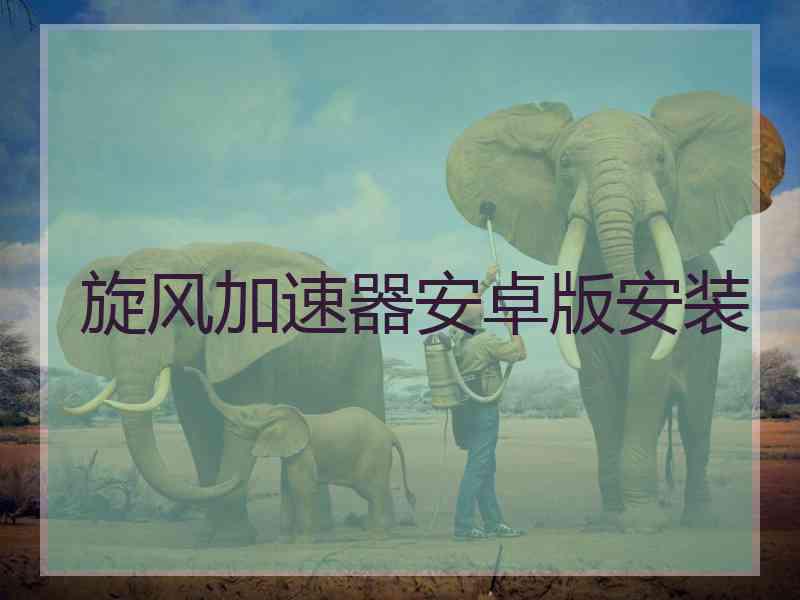 旋风加速器安卓版安装