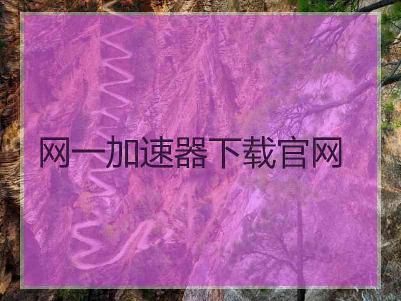 网一加速器下载官网