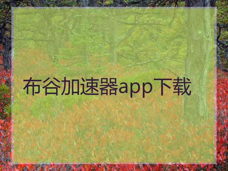 布谷加速器app下载