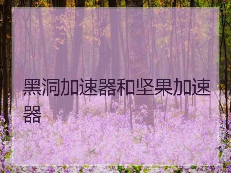 黑洞加速器和坚果加速器