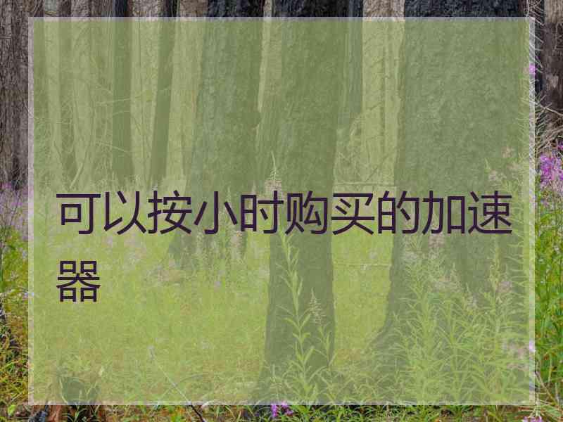 可以按小时购买的加速器