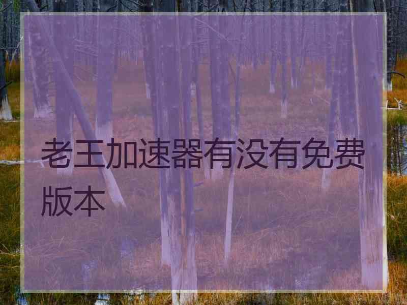 老王加速器有没有免费版本