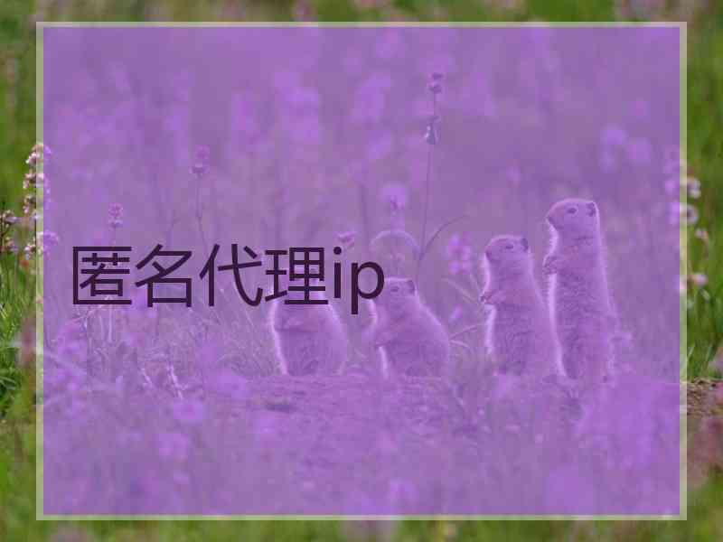 匿名代理ip